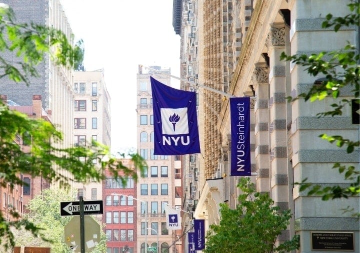 new york university phd counseling psychology