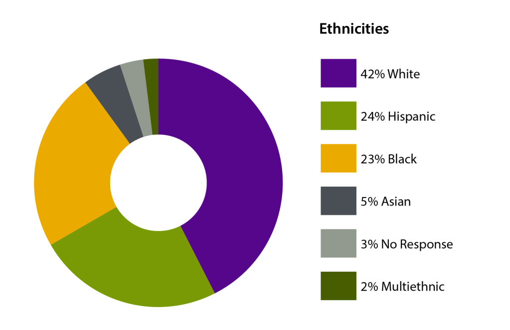 circle graph of ethnicity percentages. 42 percent white, 24 percent hispanic, 23 percent black, 5 percent asian, 3 percent no response, 2 percent multiethnic